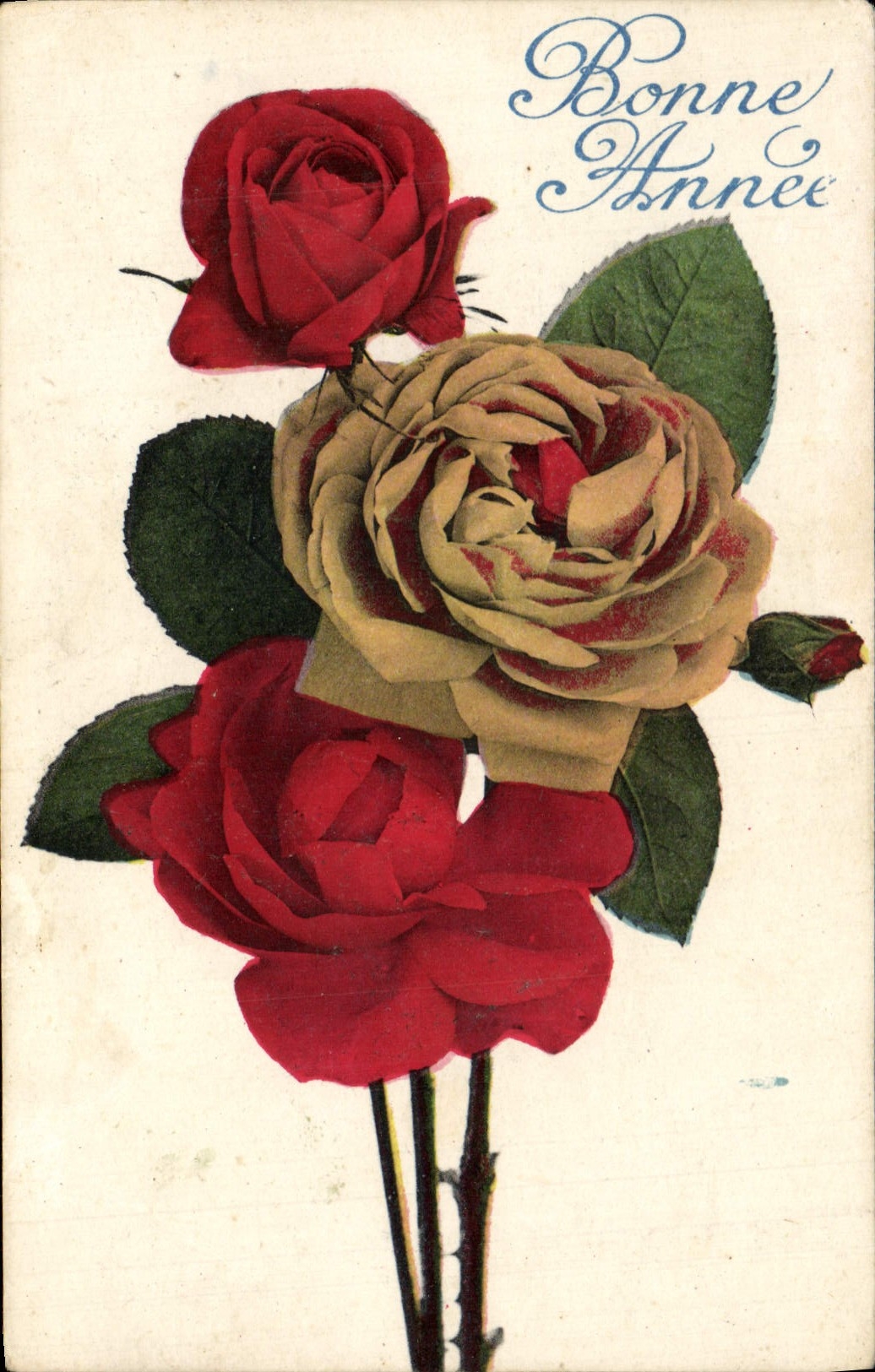 CPA Fantaisie Fleurs 