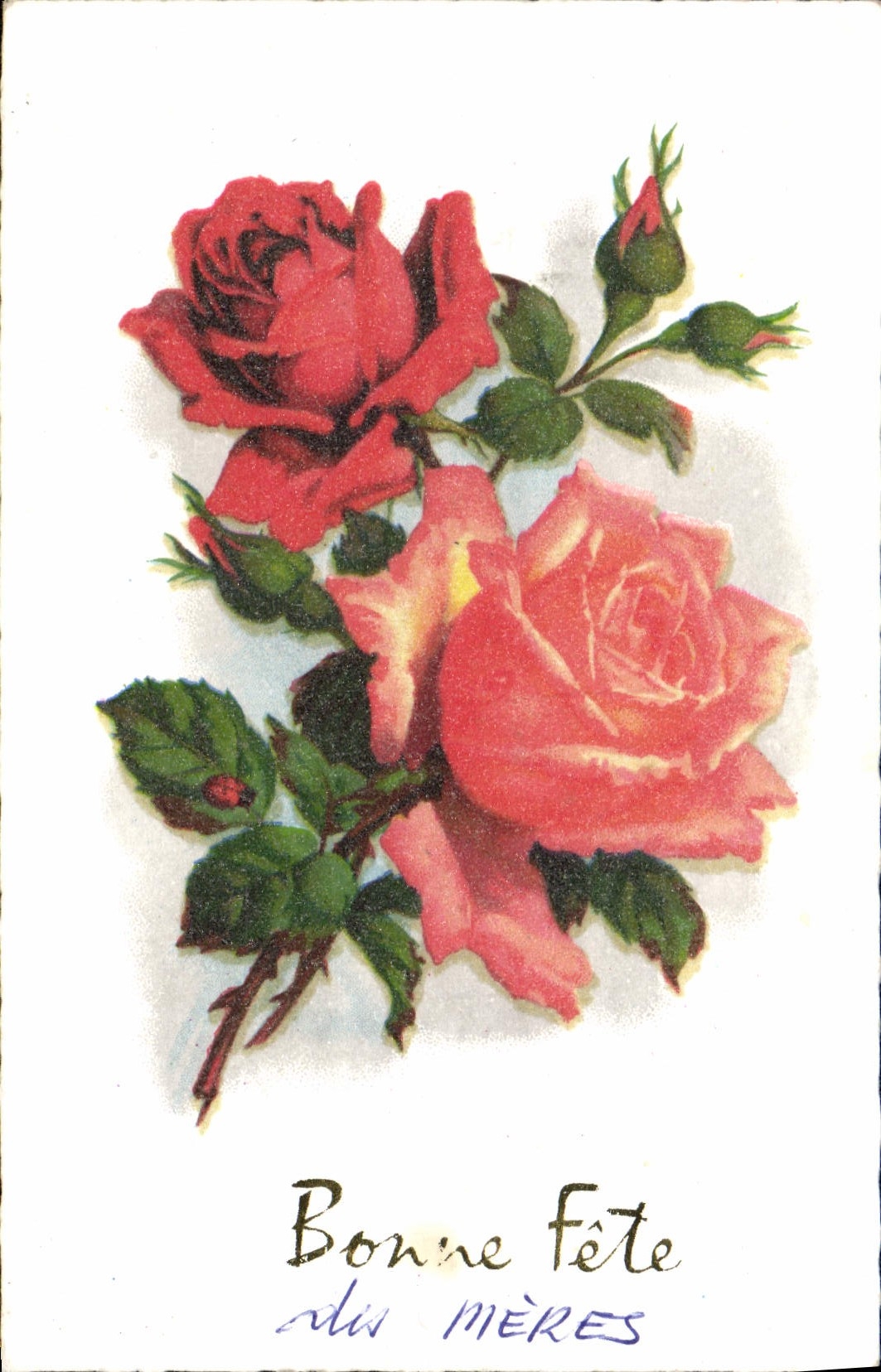 CPA Fantaisie Fleurs 