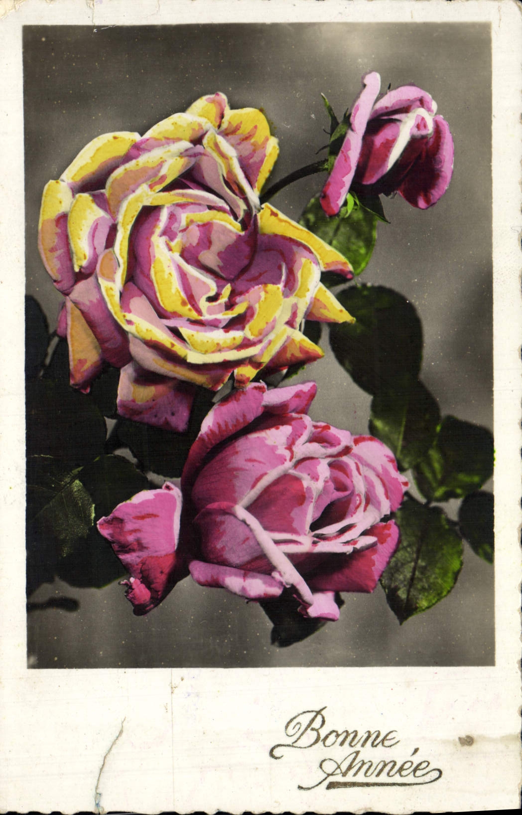 CPA Fantaisie Fleurs 