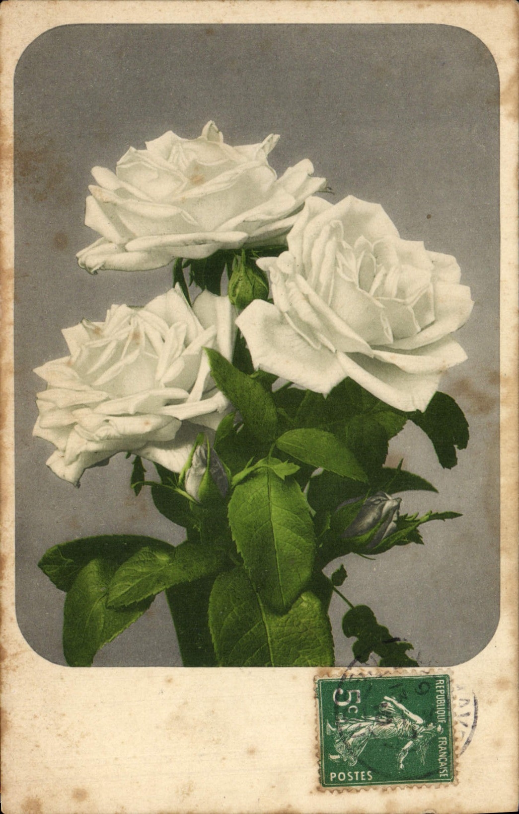 CPA Fantaisie Fleurs 