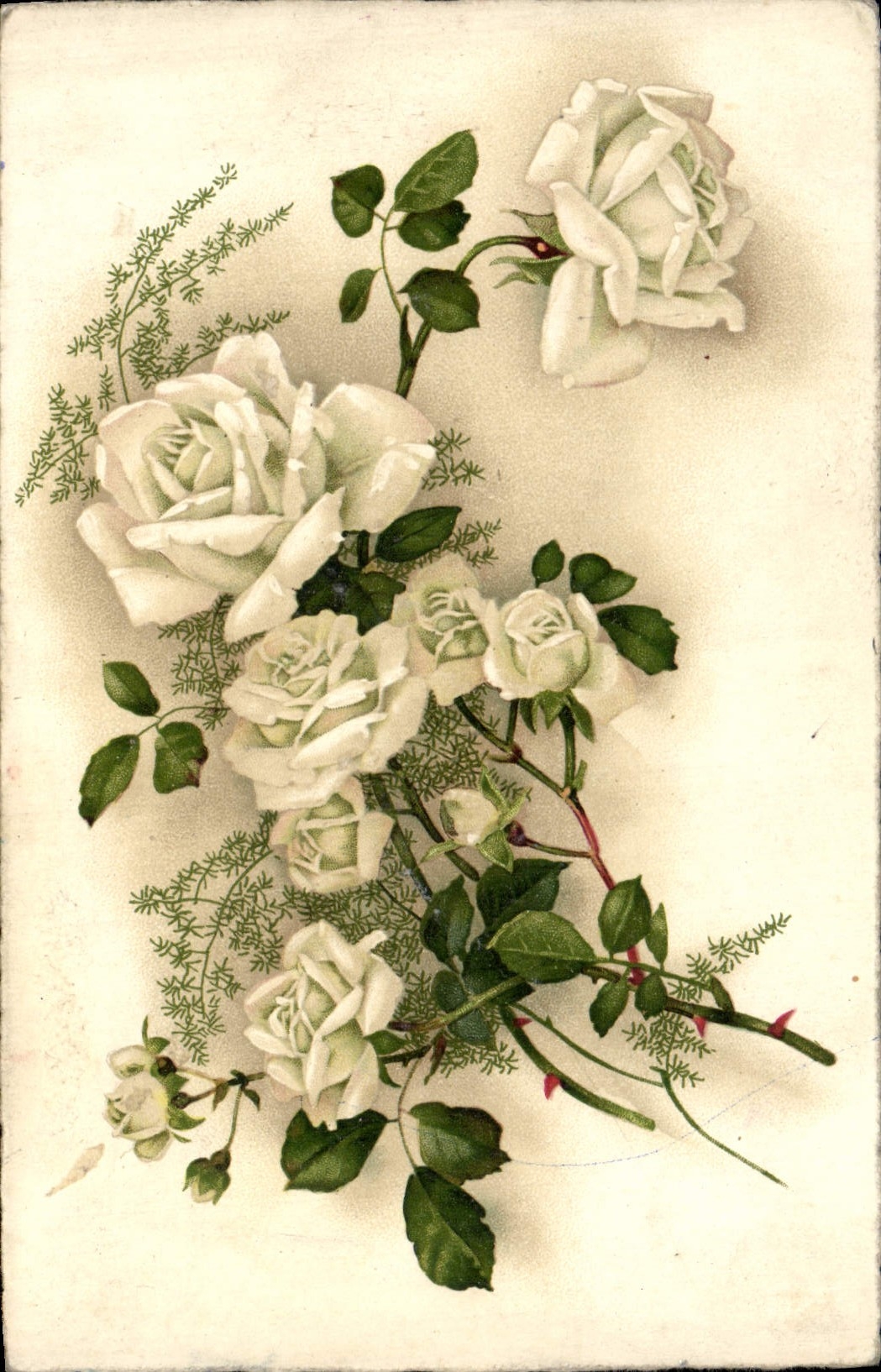 CPA Fantaisie Fleurs 