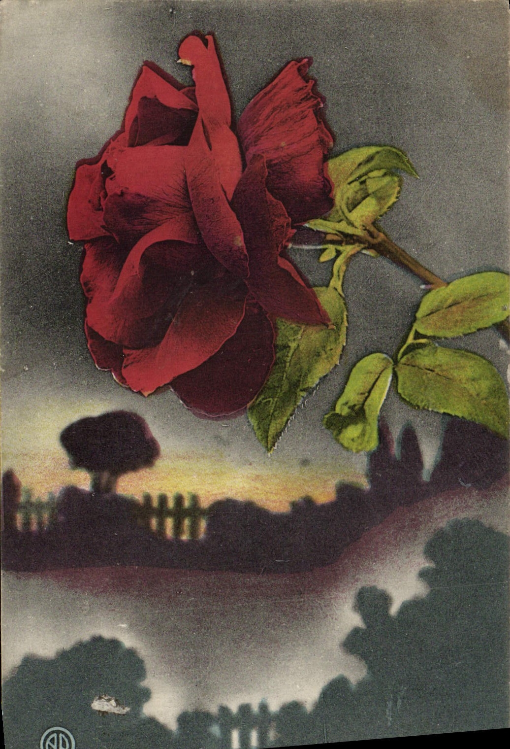 CPA Fantaisie Fleurs 