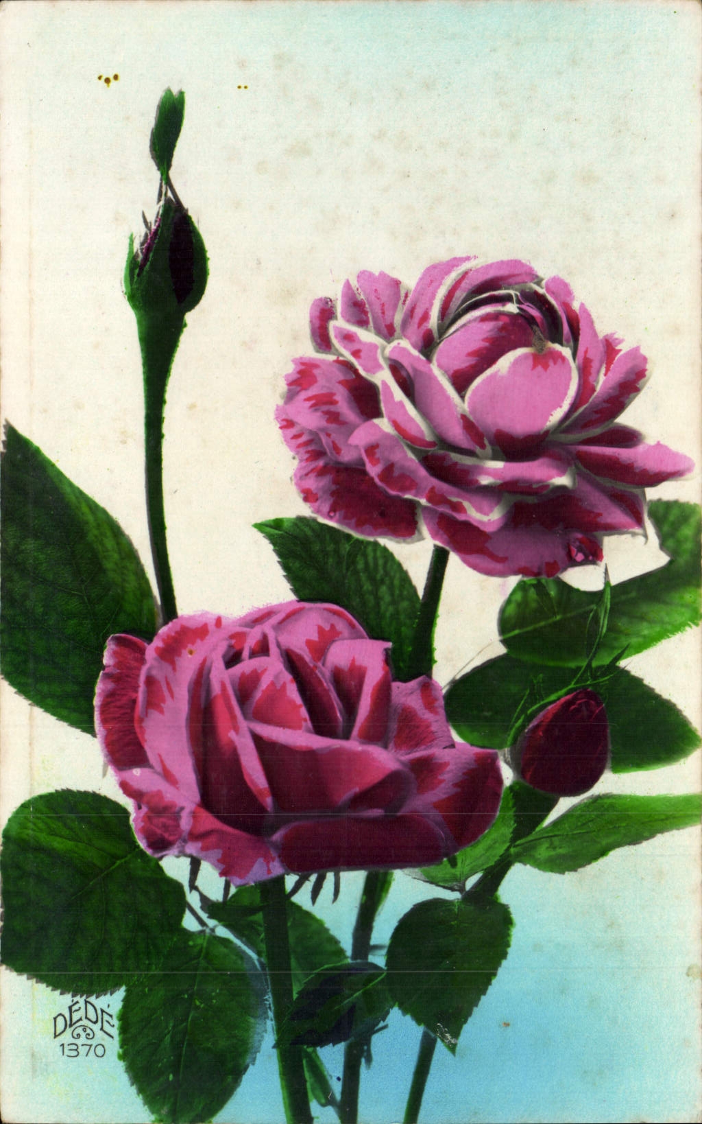 CPA Fantaisie Fleurs