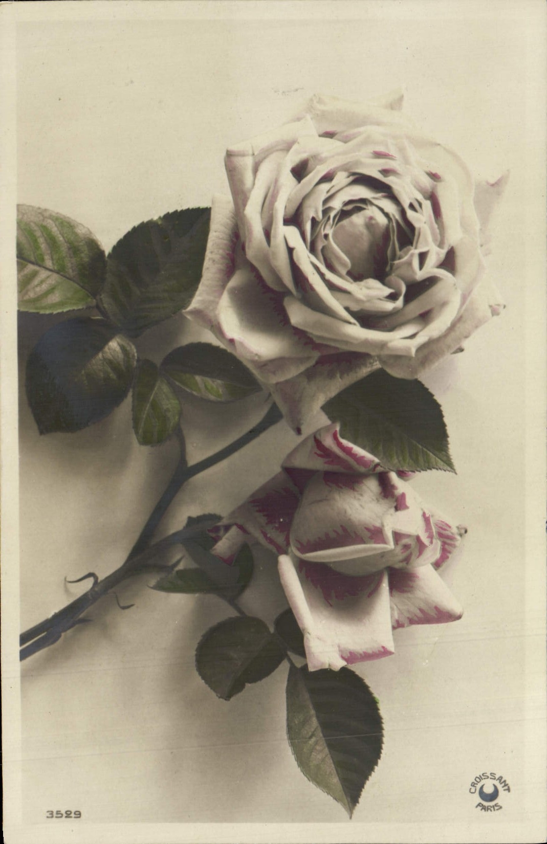 CPA Fantaisie Fleurs