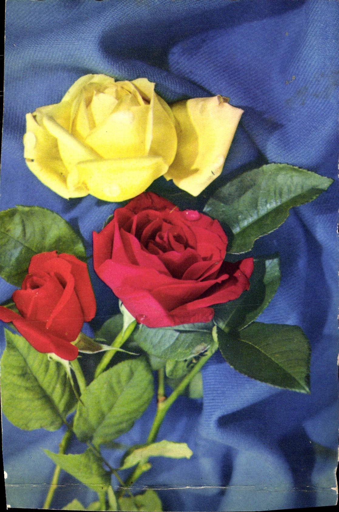 CPA Fantaisie Fleurs