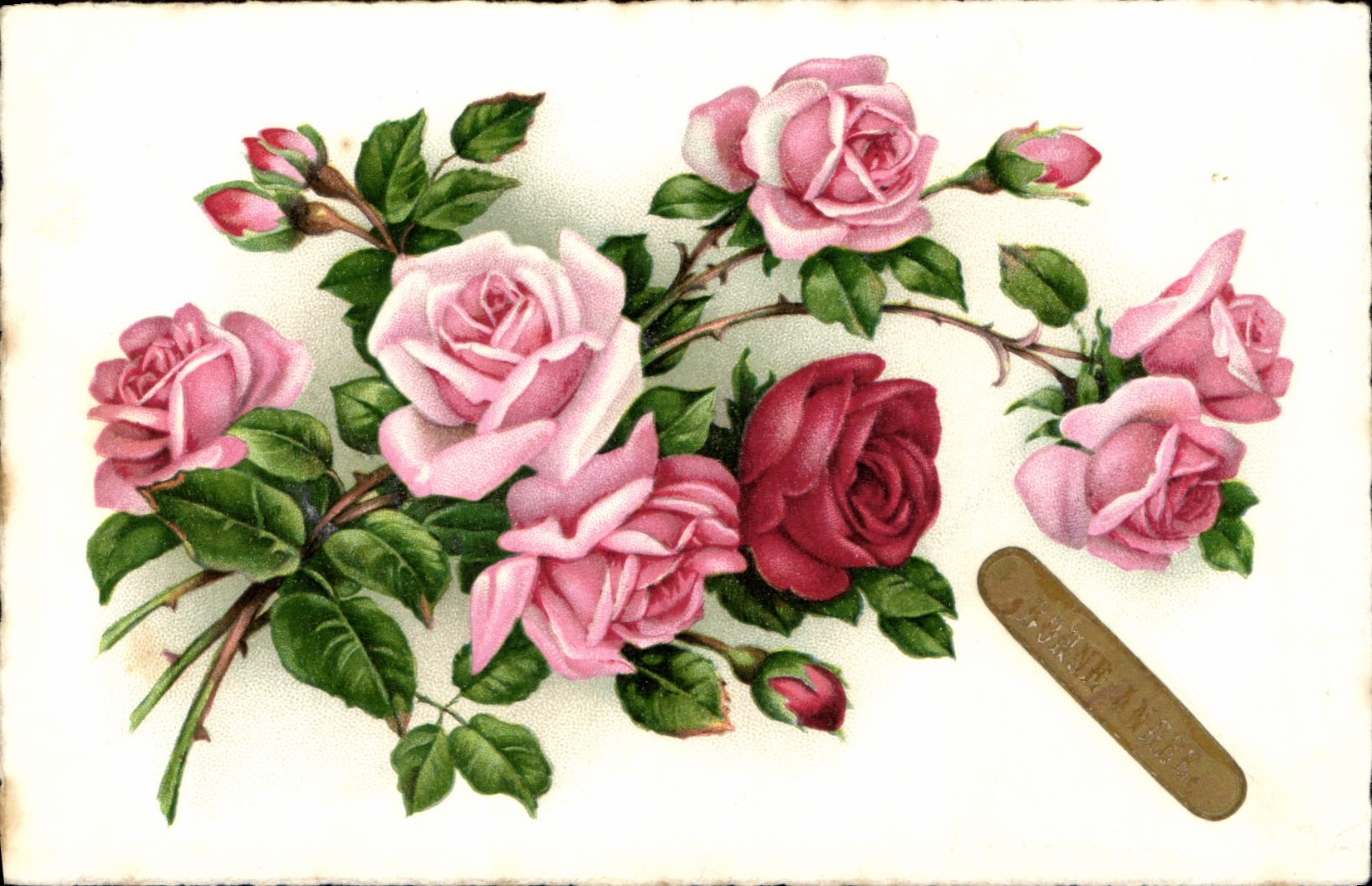 CPA Fantaisie Fleurs 