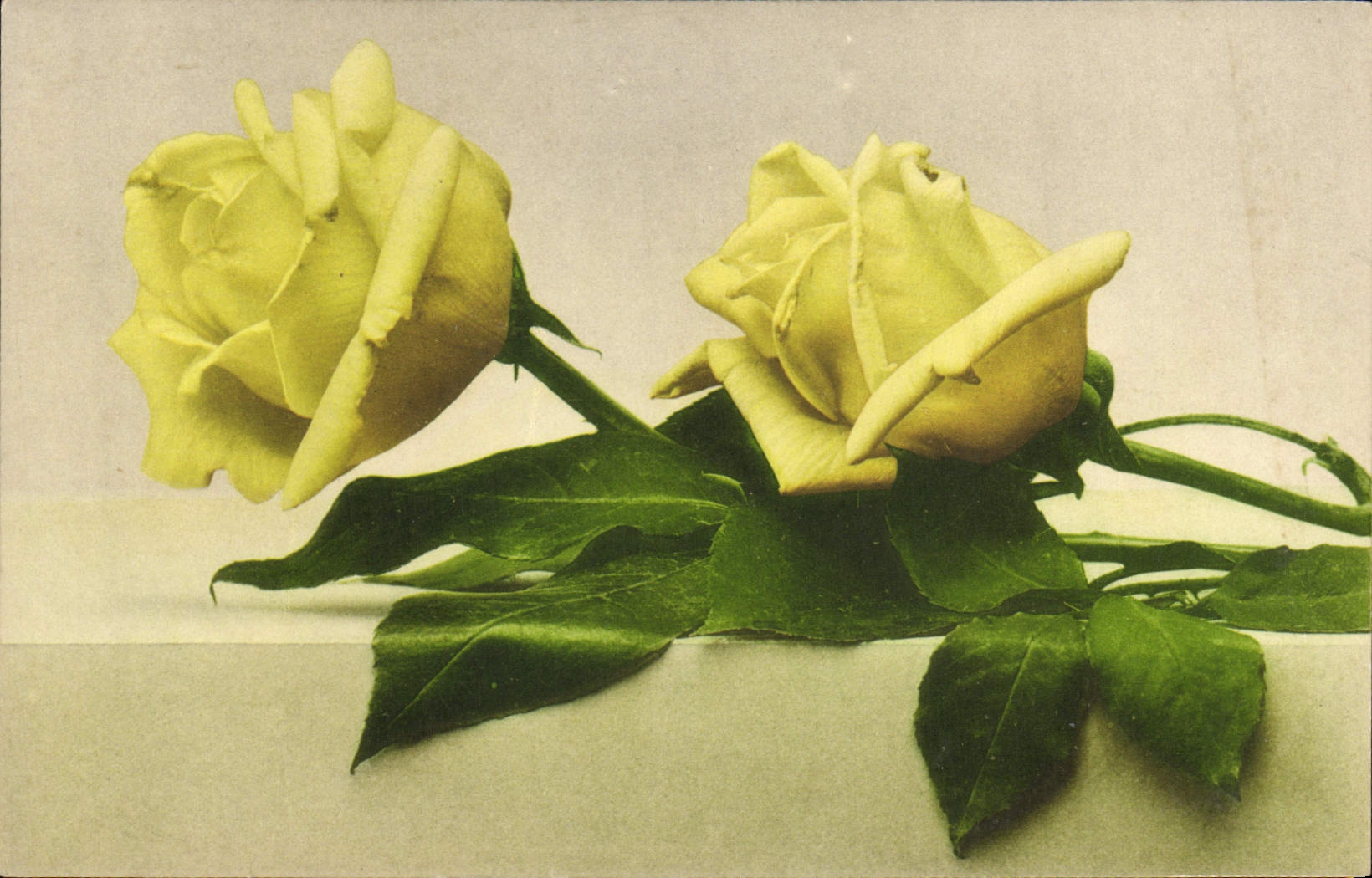 CPA Fantaisie Fleurs 