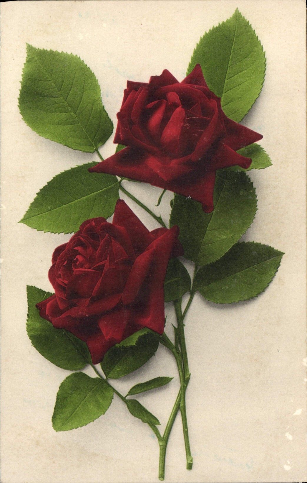 CPA Fantaisie Fleurs 