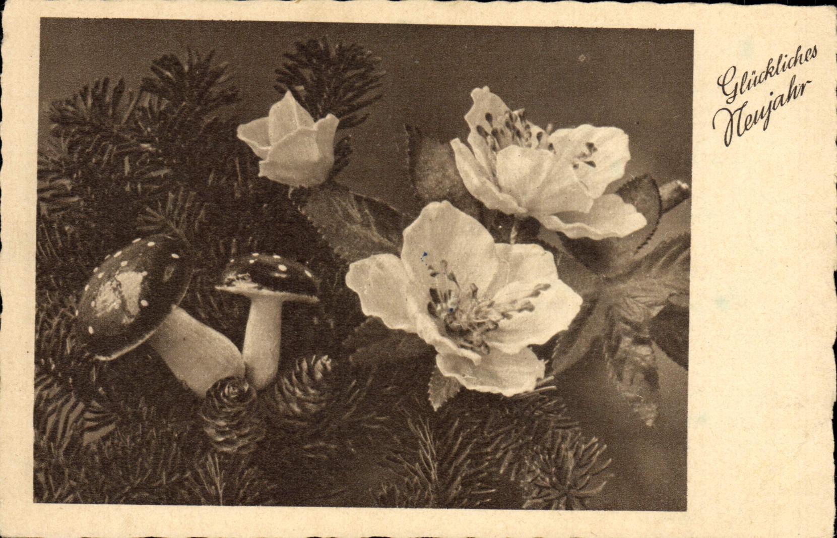 CPA Fantaisie Fleurs Champignon Champignons