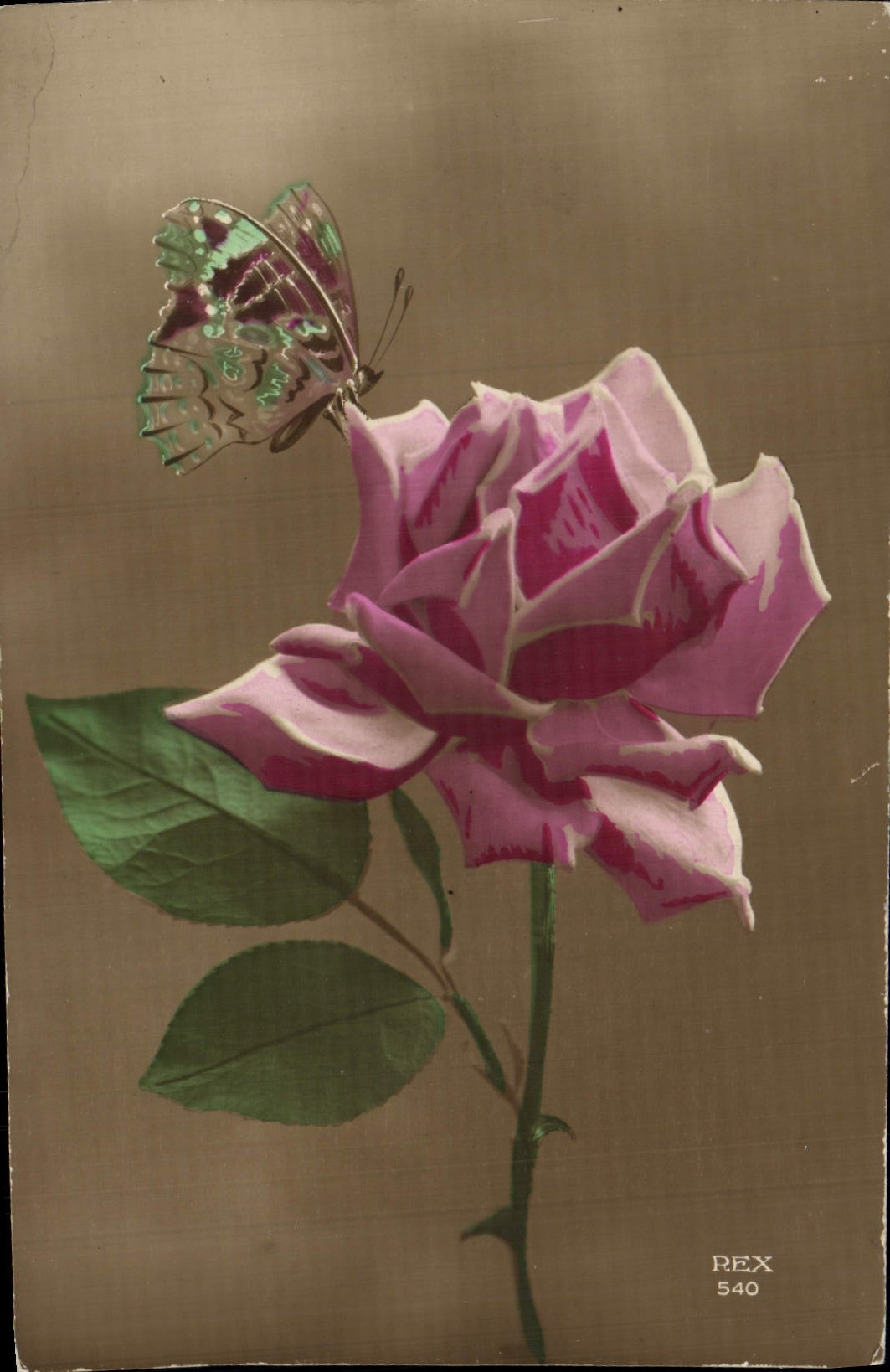 CPA Fantaisie Fleurs Libellule Insecte