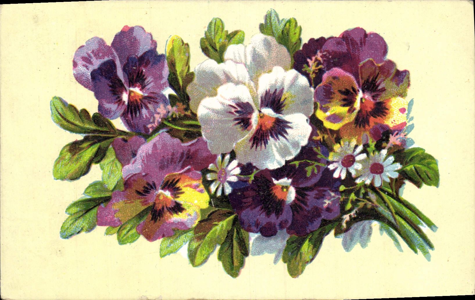 Flores de la fantasía de la POSTAL de la VENDIMIA