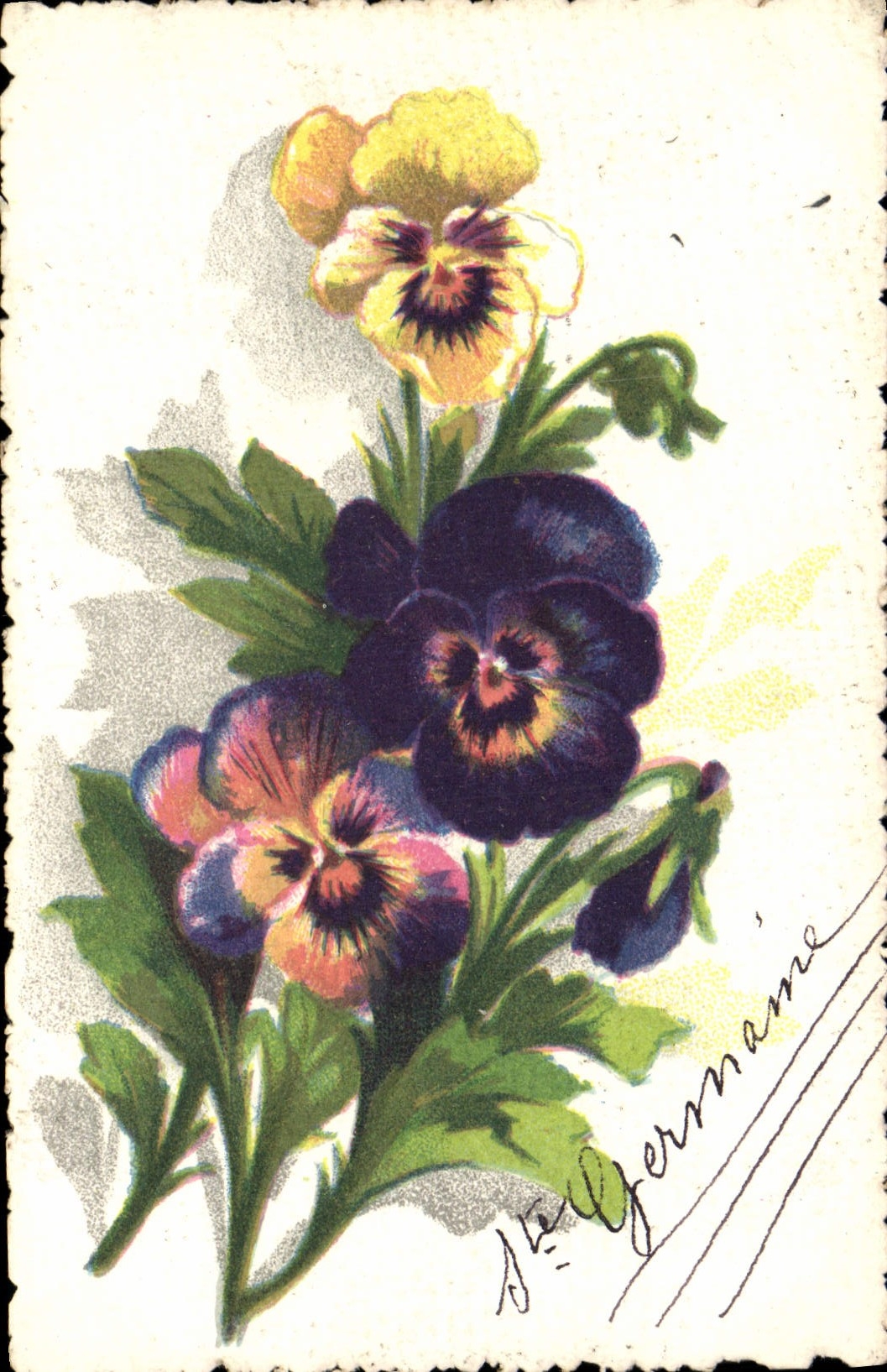 Flores de la fantasía de la POSTAL de la VENDIMIA