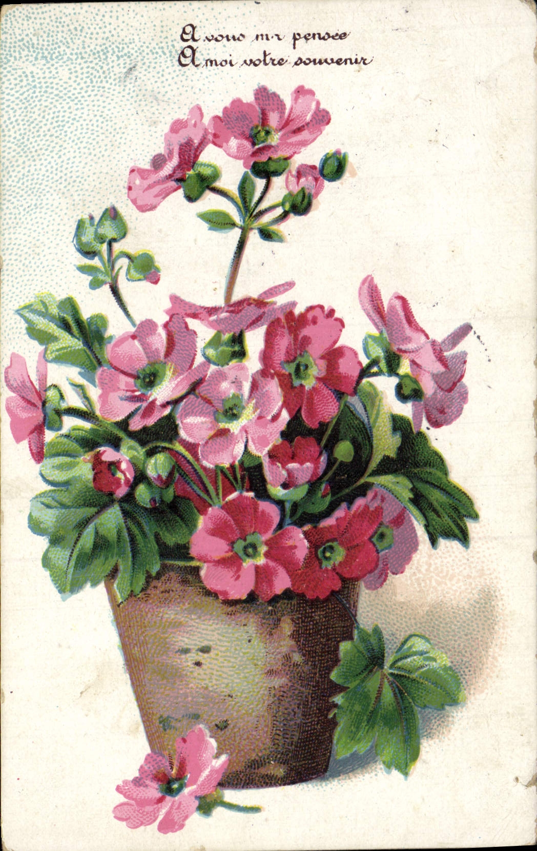 Flores de la fantasía de la POSTAL de la VENDIMIA