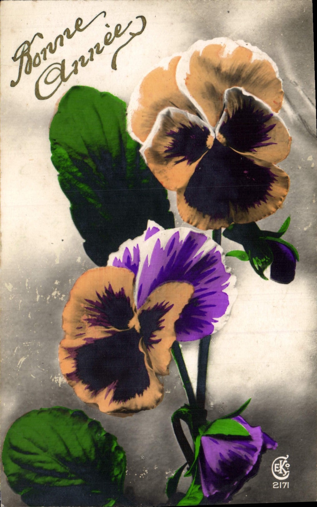 Flores de la fantasía de la POSTAL de la VENDIMIA