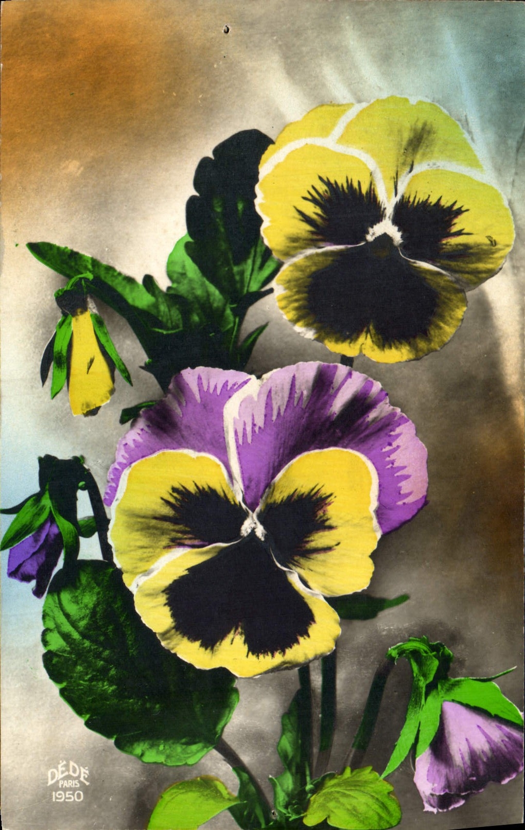 Flores de la fantasía de la POSTAL de la VENDIMIA