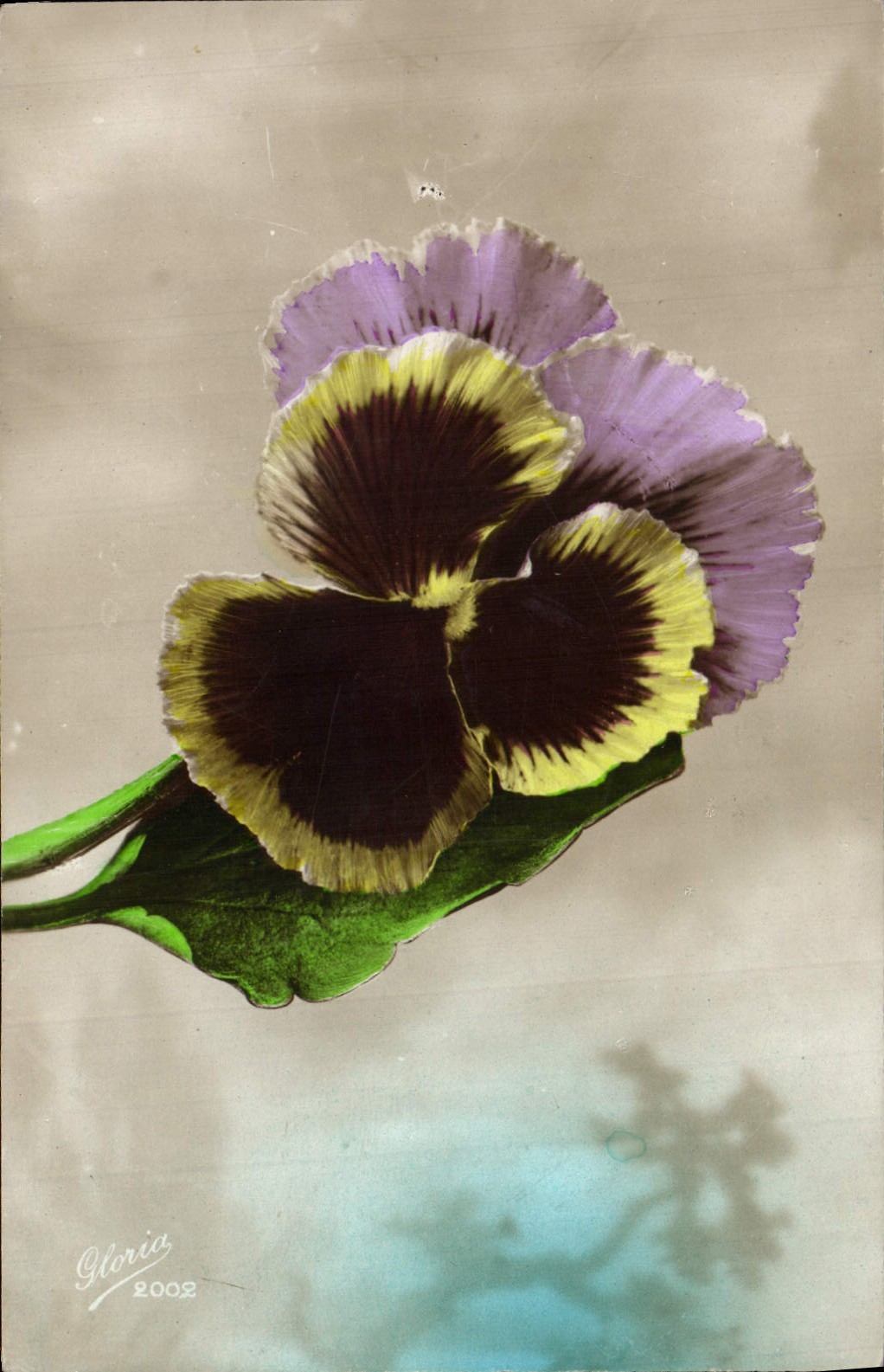 Flores de la fantasía de la POSTAL de la VENDIMIA