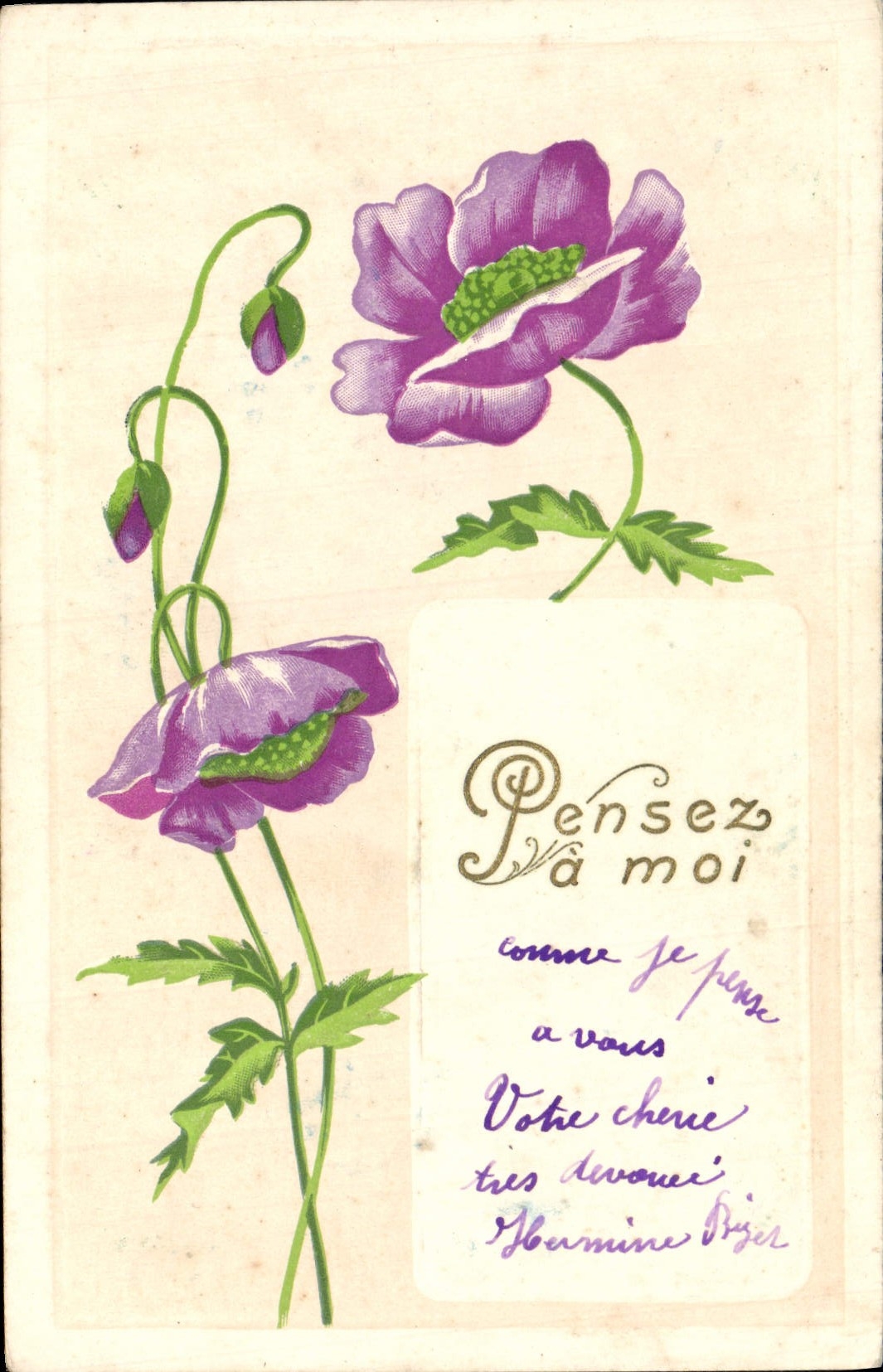 Flores de la fantasía de la POSTAL de la VENDIMIA