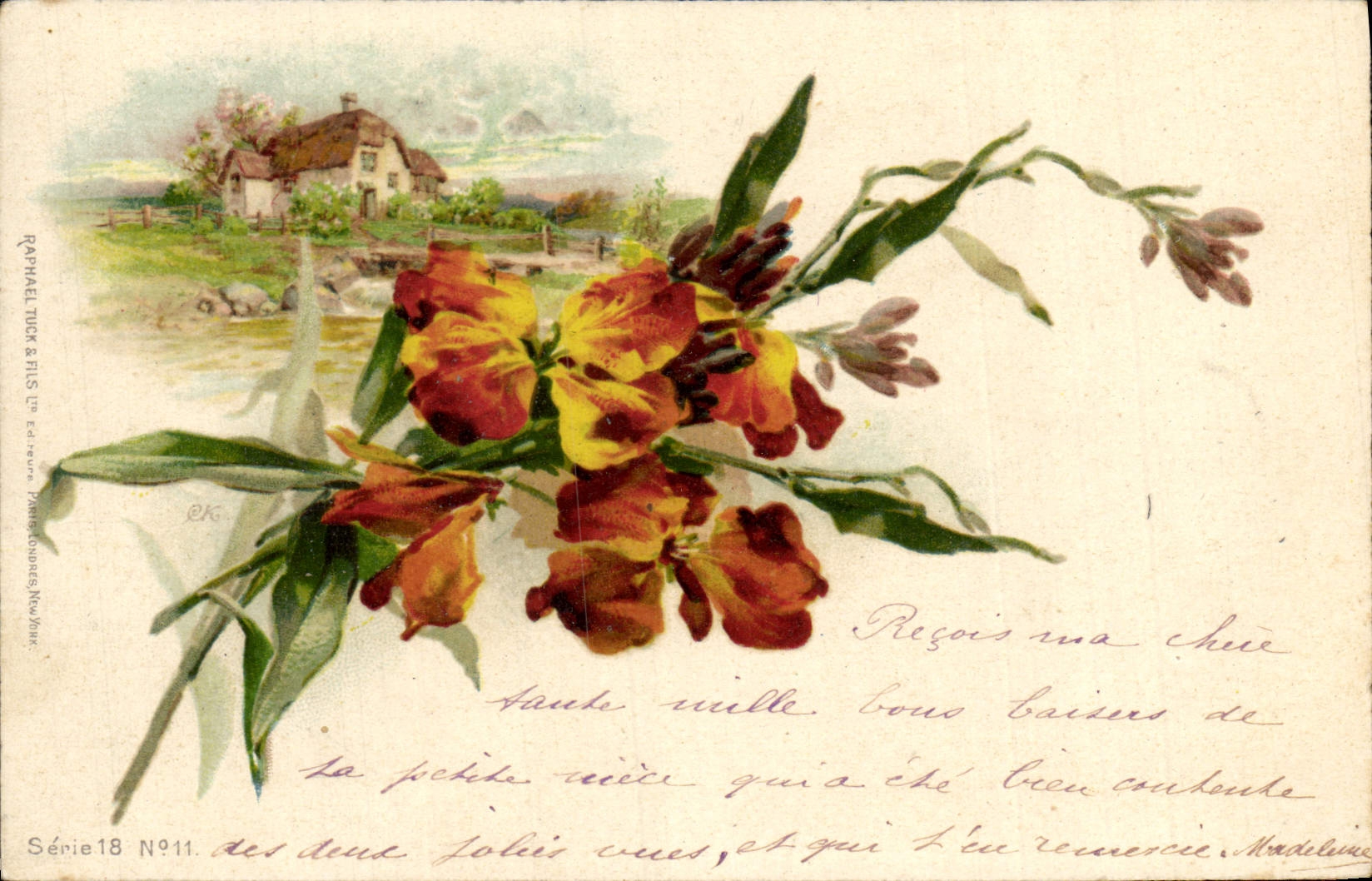 Flores de la fantasía de la POSTAL de la VENDIMIA