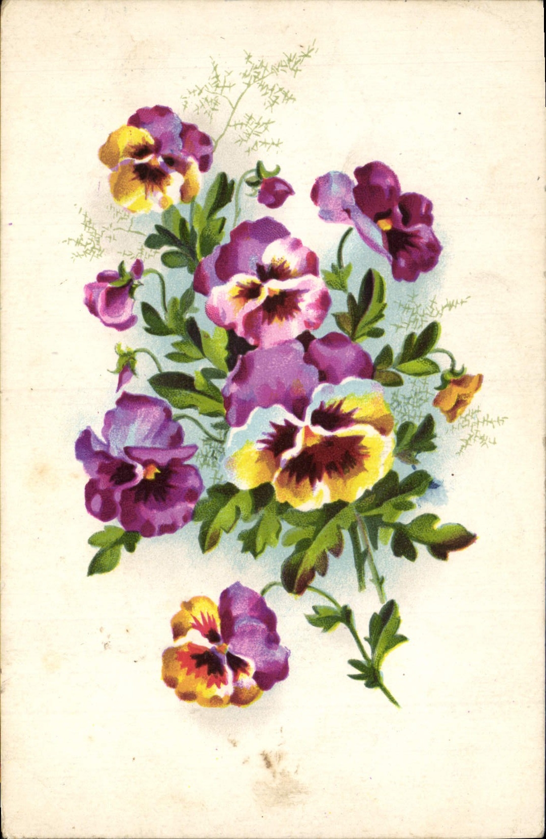 Flores de la fantasía de la POSTAL de la VENDIMIA