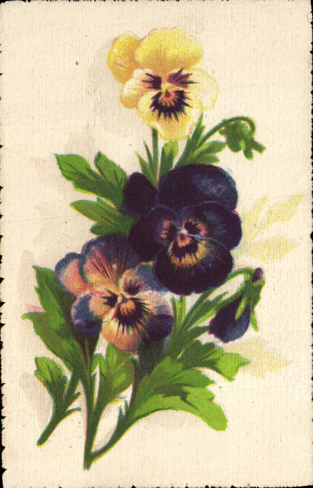 Flores de la fantasía de la POSTAL de la VENDIMIA