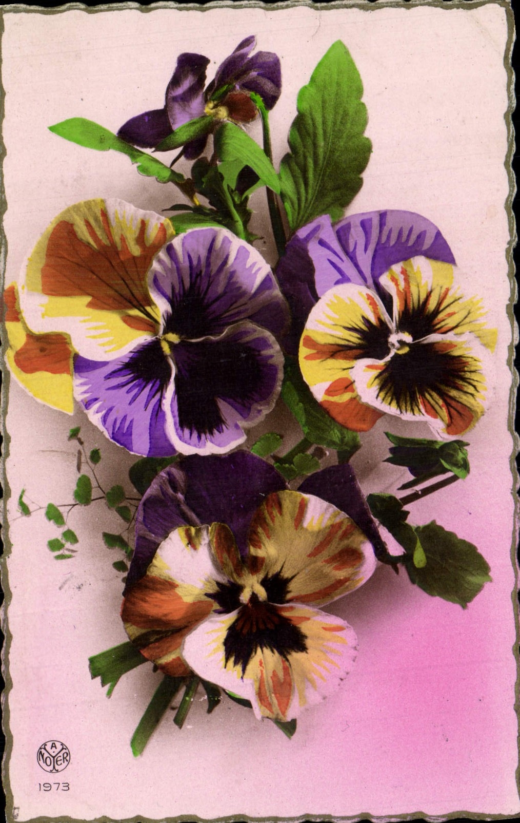 Flores de la fantasía de la POSTAL de la VENDIMIA