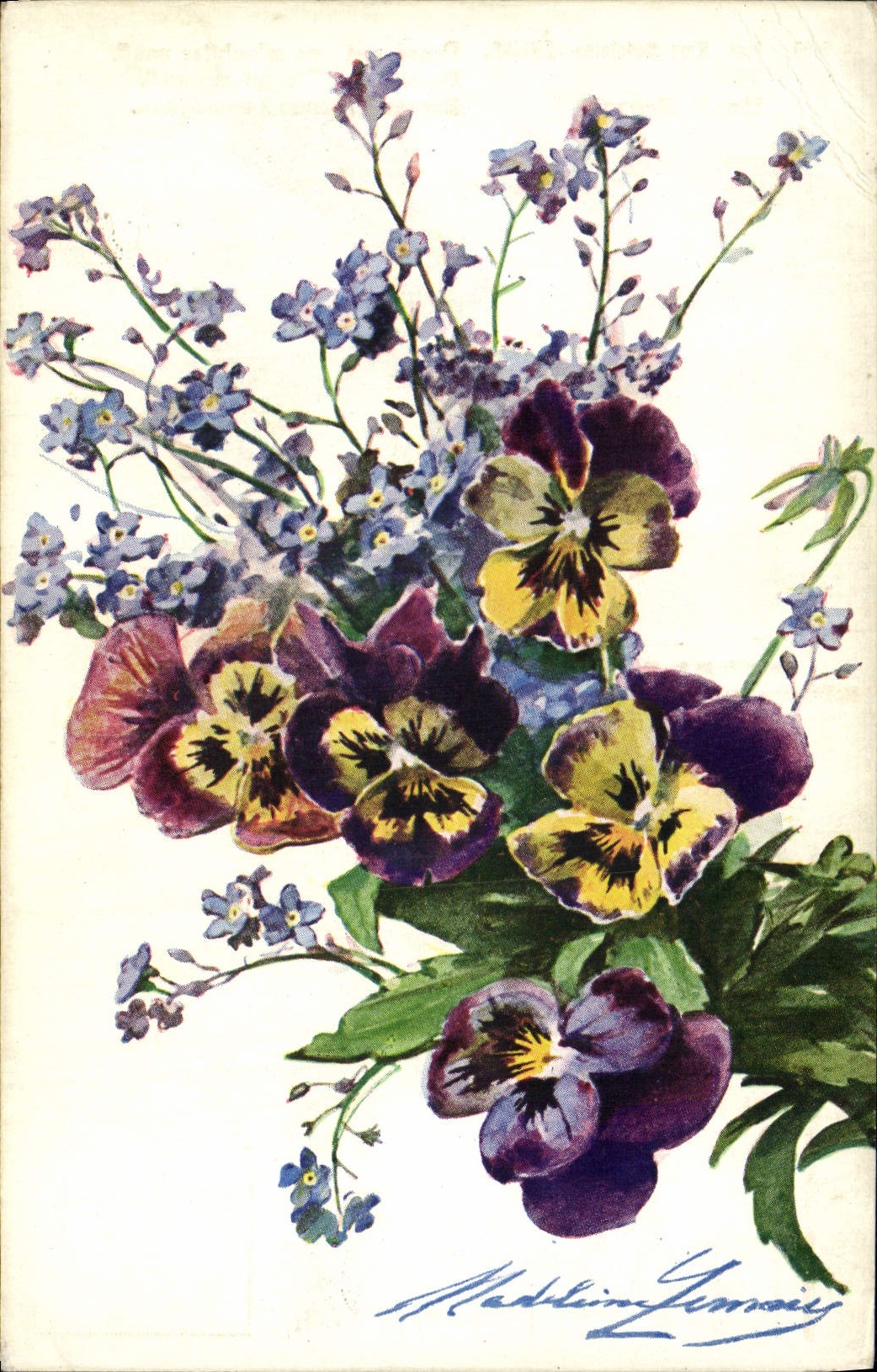Flores de la fantasía de la POSTAL de la VENDIMIA