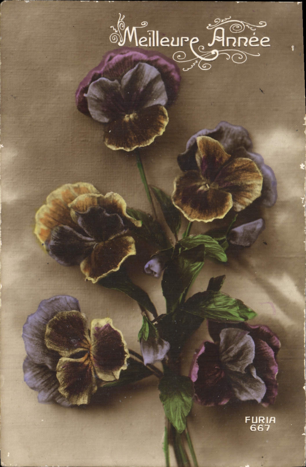 Flores de la fantasía de la POSTAL de la VENDIMIA