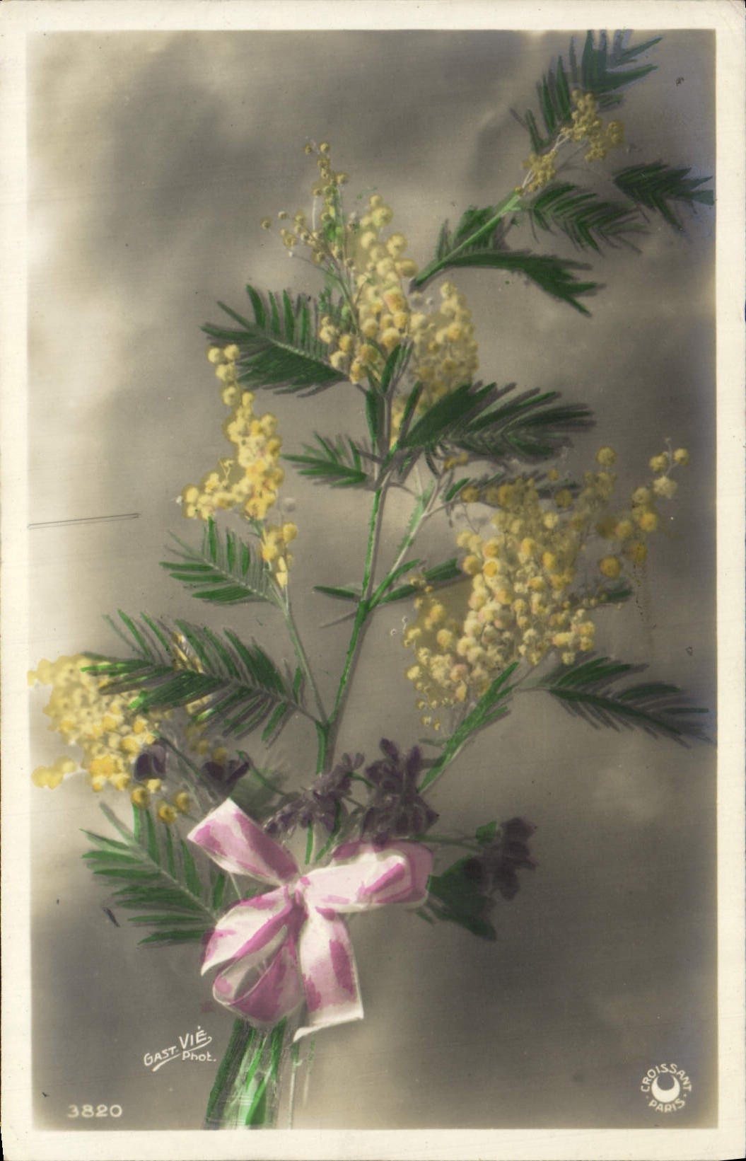 Flores de la fantasía de la POSTAL de la VENDIMIA