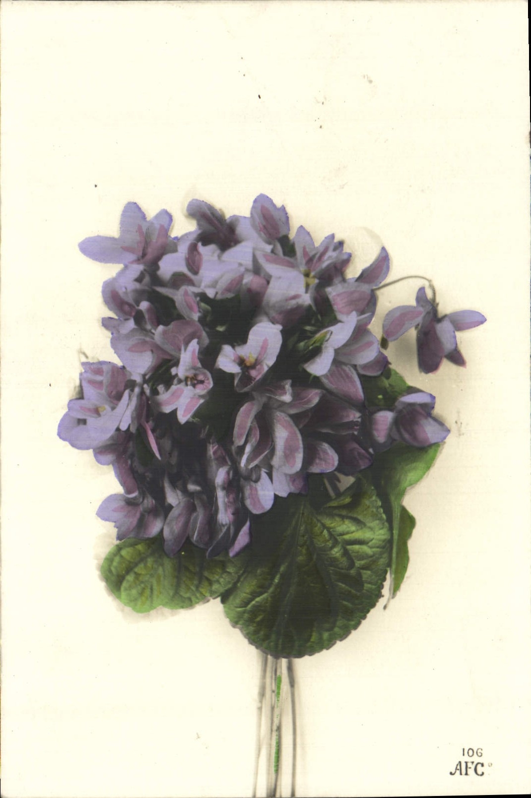 Flores de la fantasía de la POSTAL de la VENDIMIA