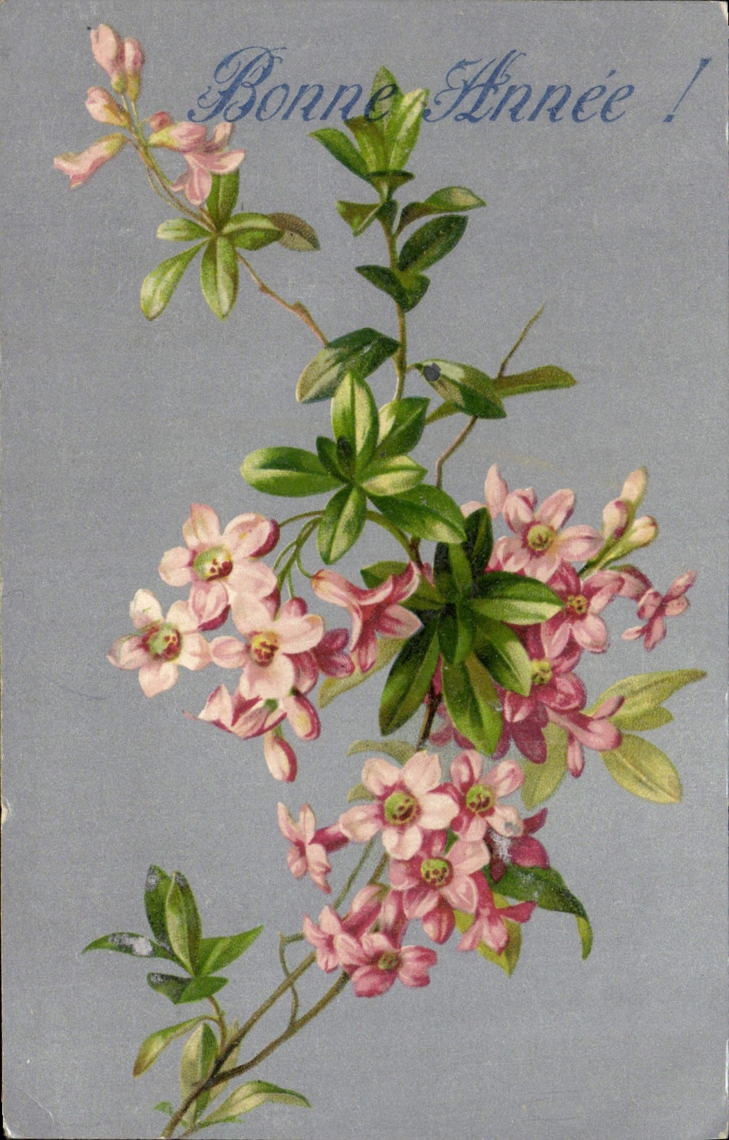 Flores de la fantasía de la POSTAL de la VENDIMIA