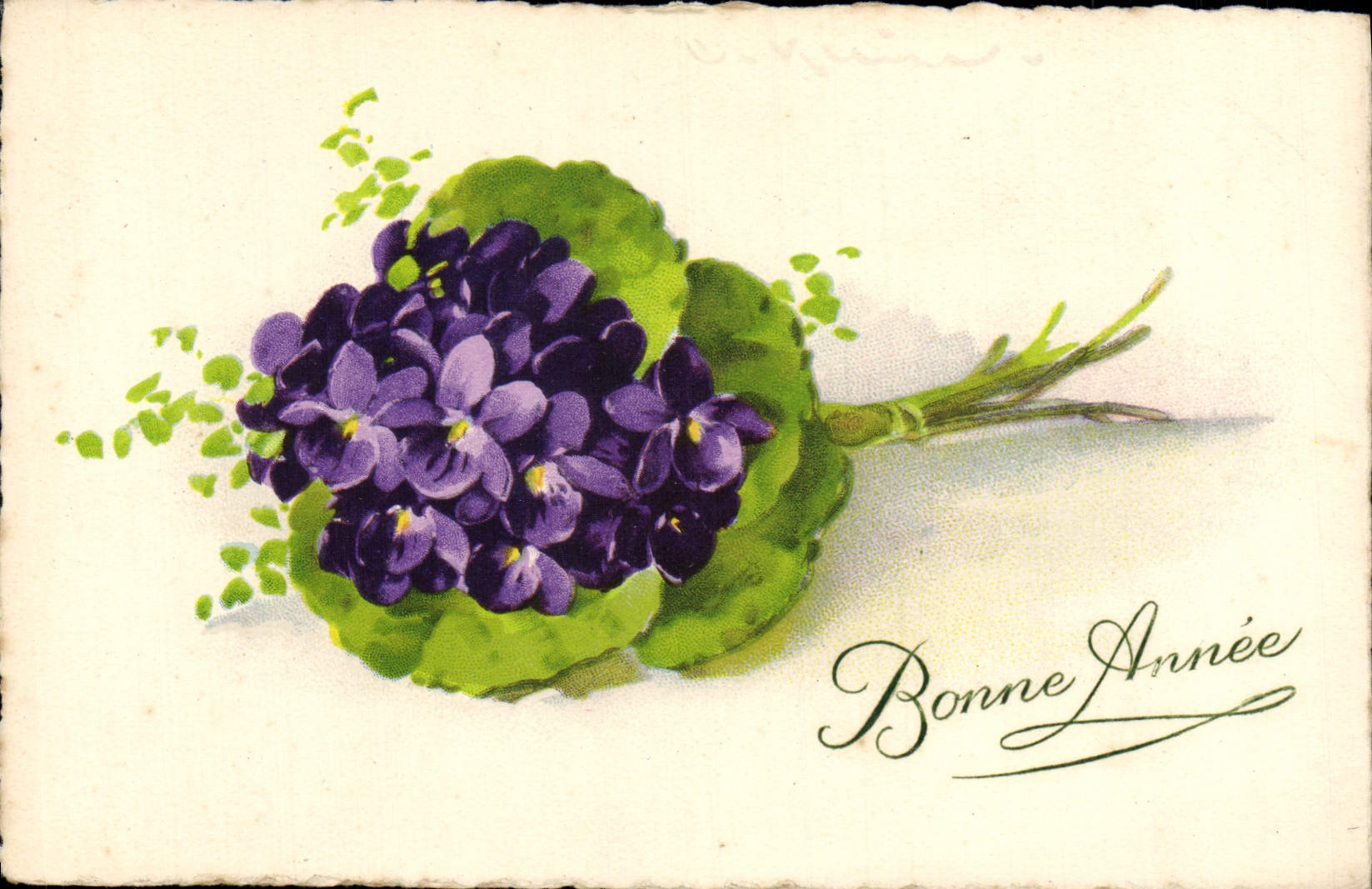 Flores de la fantasía de la POSTAL de la VENDIMIA