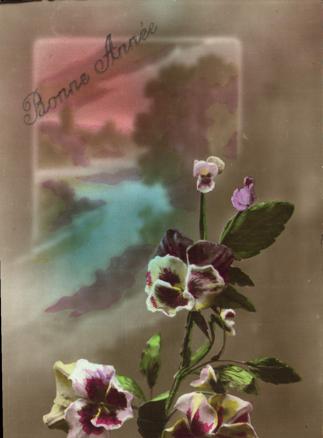 Flores de la fantasía de la POSTAL de la VENDIMIA