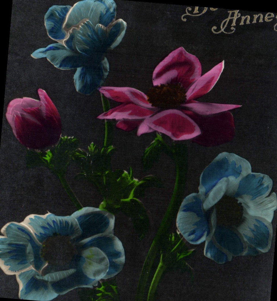 Flores de la fantasía de la POSTAL de la VENDIMIA