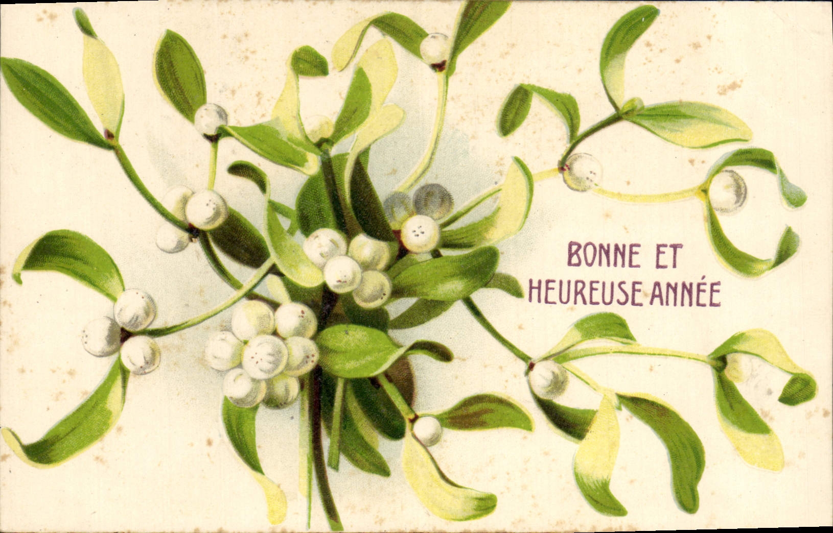 Flores de la fantasía de la POSTAL de la VENDIMIA