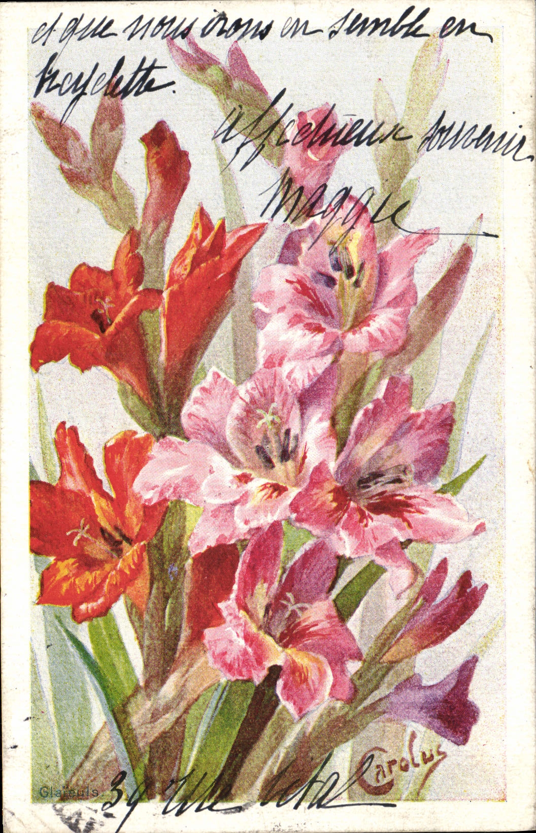 Flores de la fantasía de la POSTAL de la VENDIMIA