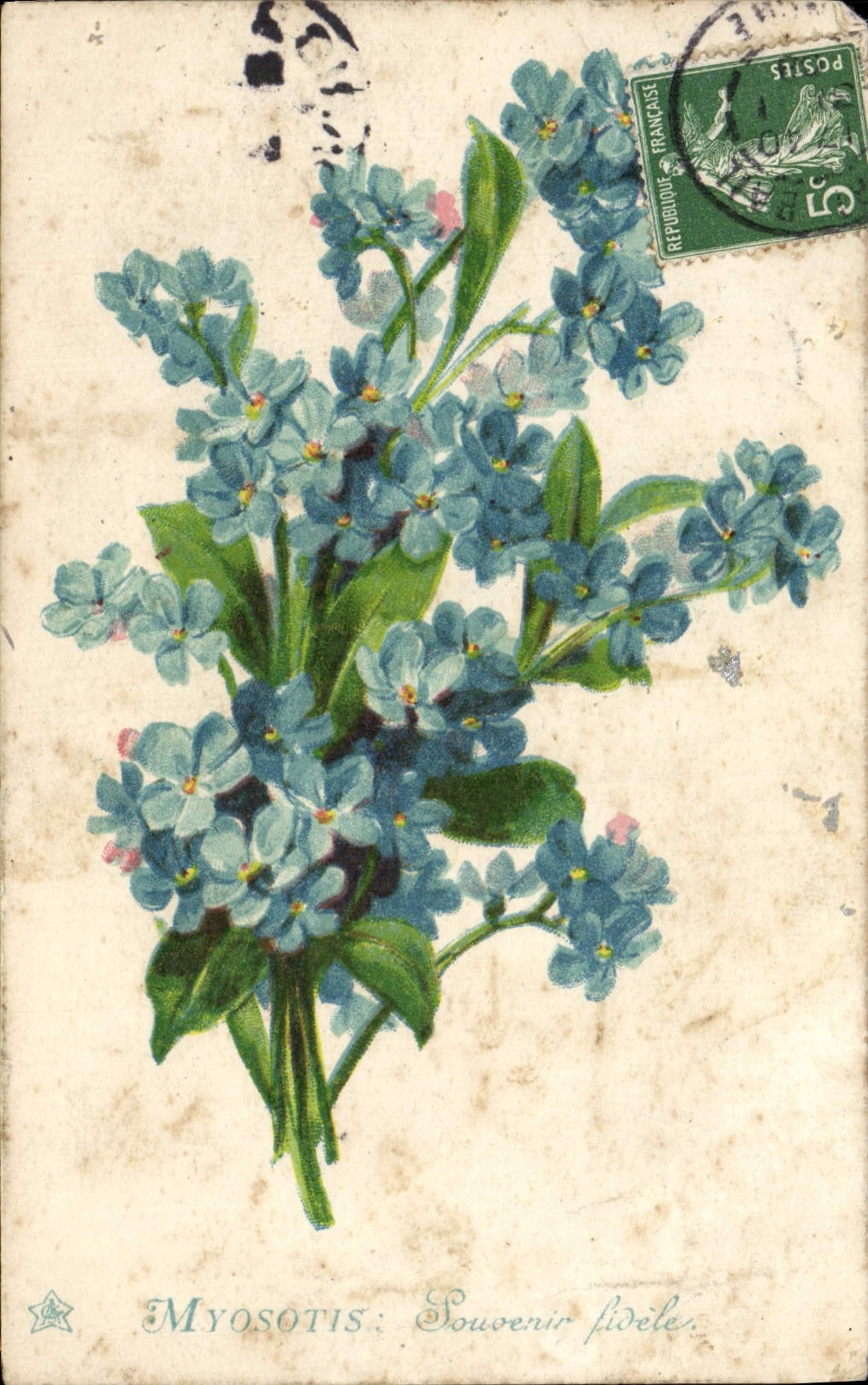 Flores de la fantasía de la POSTAL de la VENDIMIA