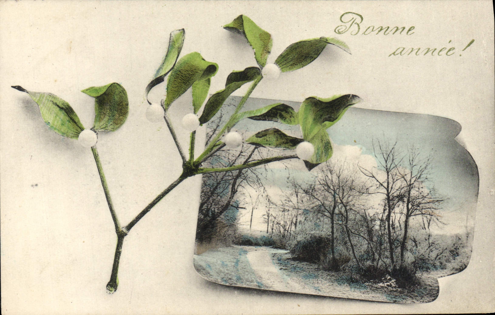 Flores de la fantasía de la POSTAL de la VENDIMIA