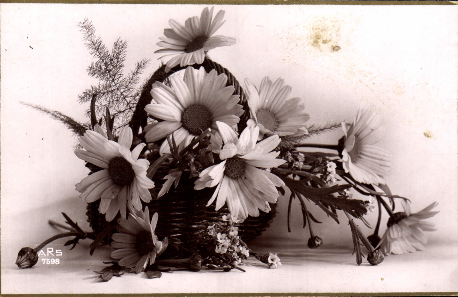 Flores de la fantasía de la POSTAL de la VENDIMIA