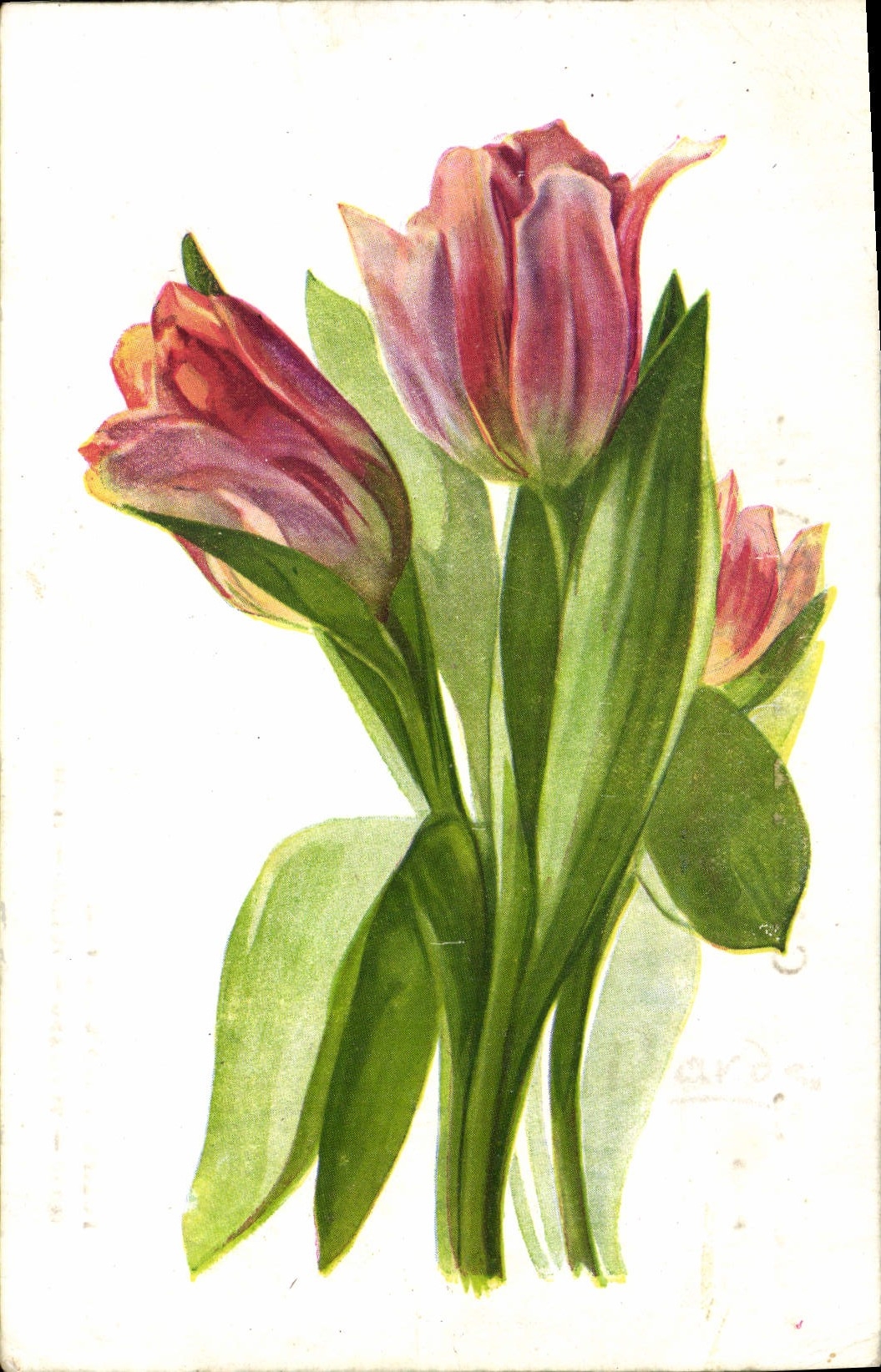 Flores de la fantasía de la POSTAL de la VENDIMIA