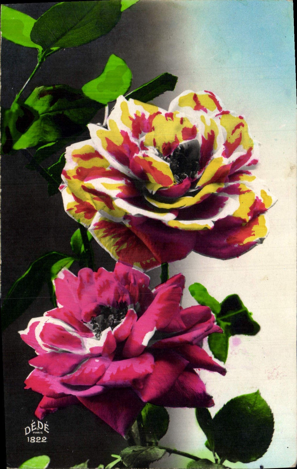 Flores de la fantasía de la POSTAL de la VENDIMIA