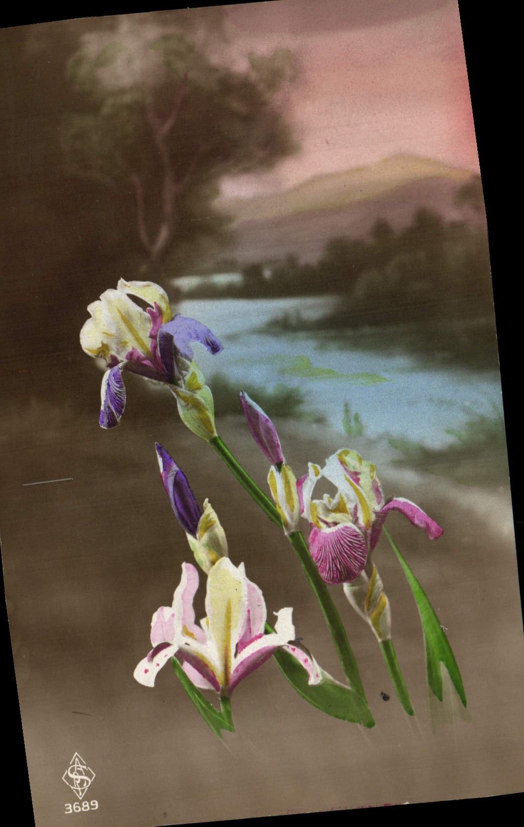 Flores de la fantasía de la POSTAL de la VENDIMIA