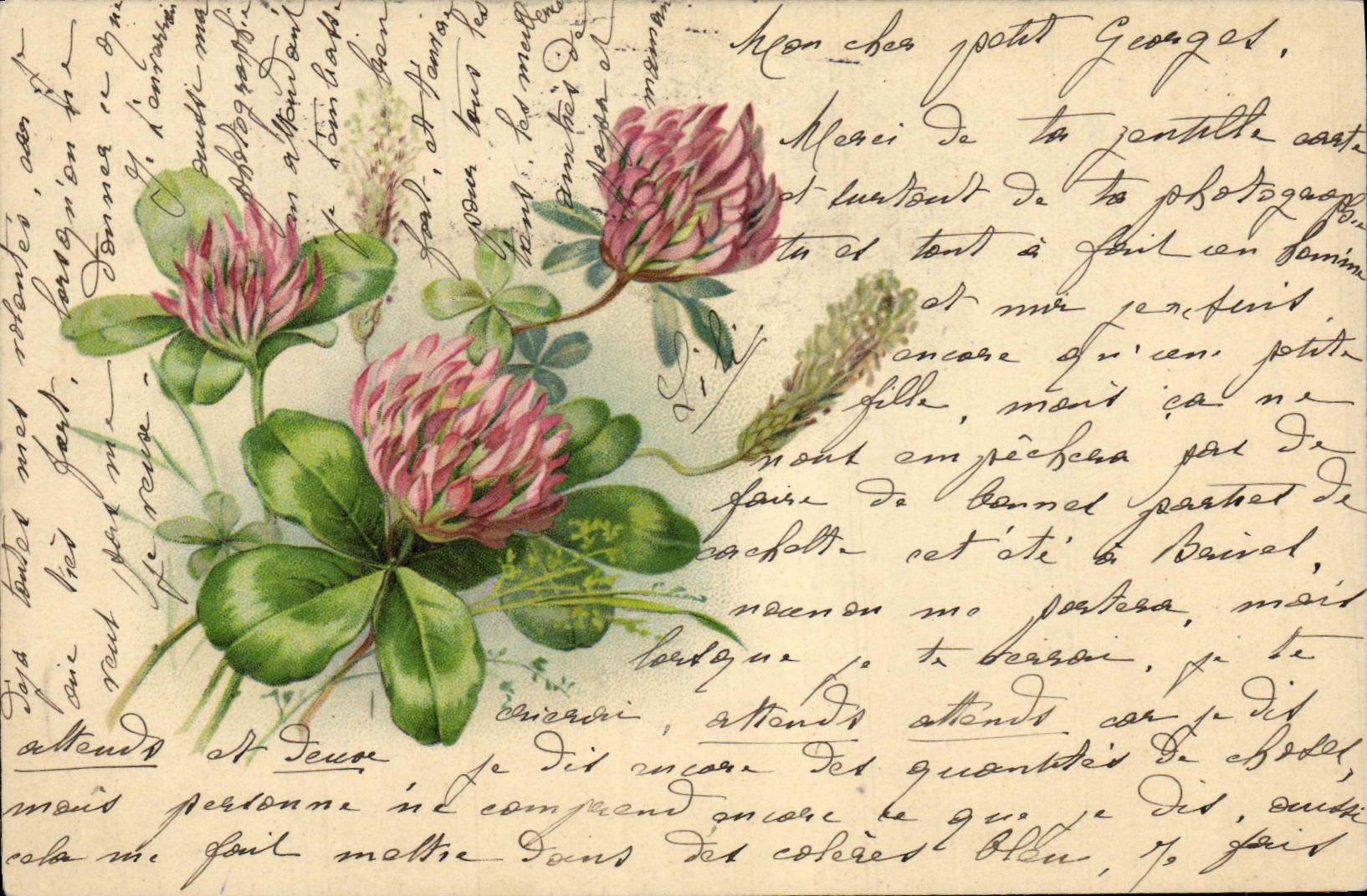 Flores de la fantasía de la POSTAL de la VENDIMIA