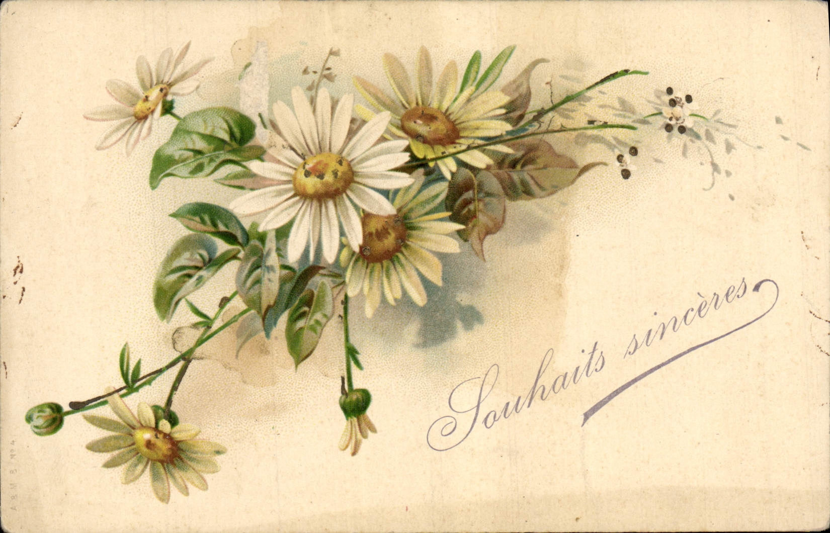 Flores de la fantasía de la POSTAL de la VENDIMIA