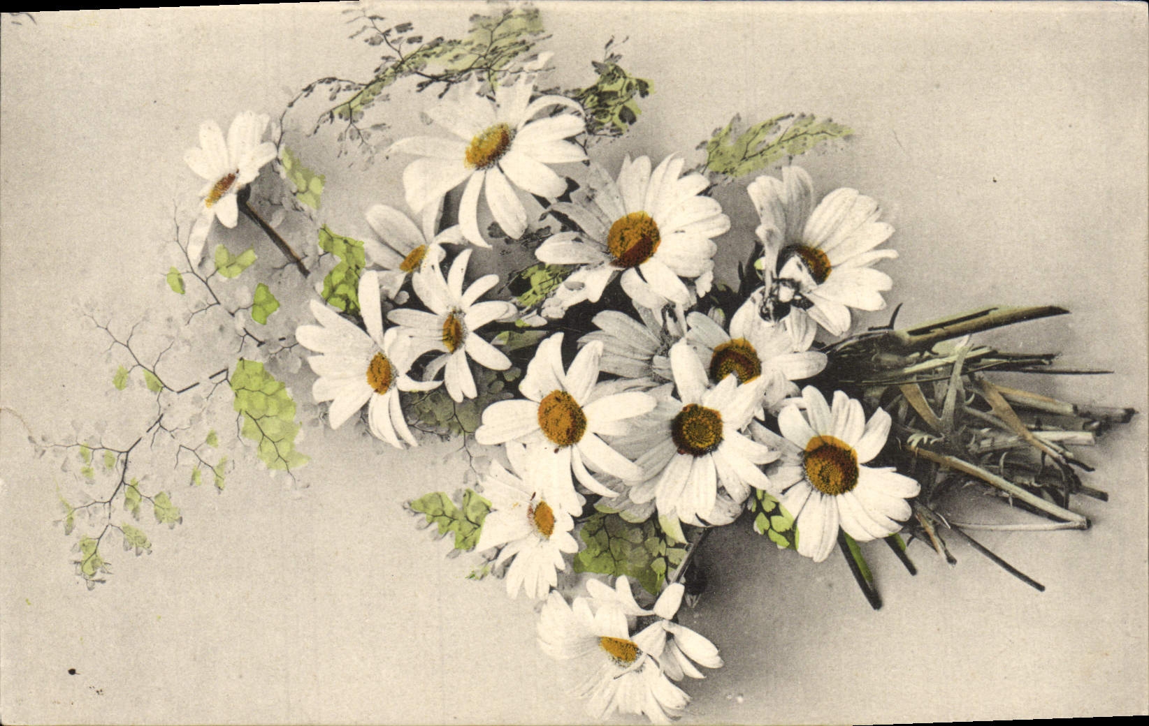 Flores de la fantasía de la POSTAL de la VENDIMIA