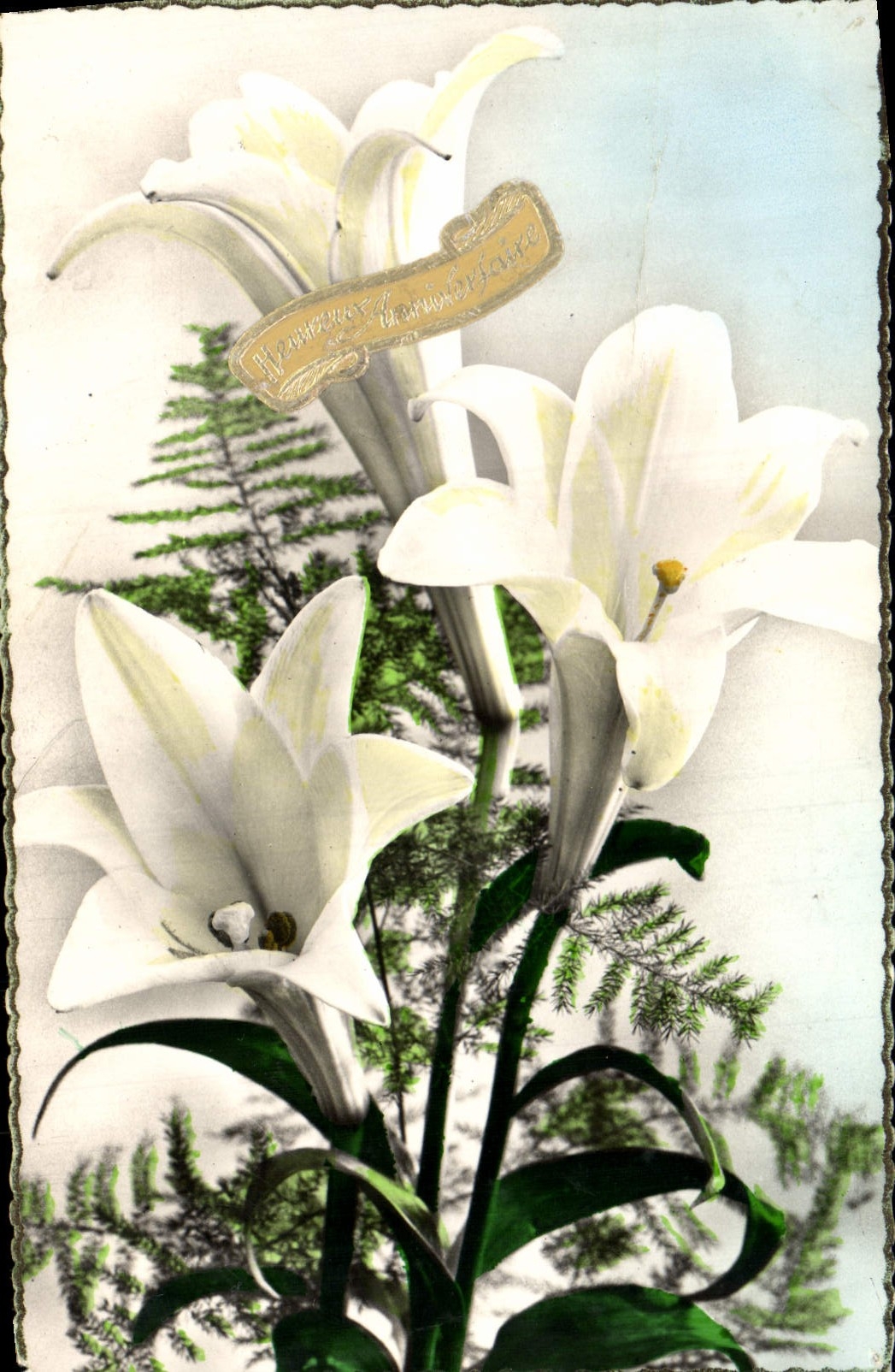 Flores de la fantasía de la POSTAL de la VENDIMIA