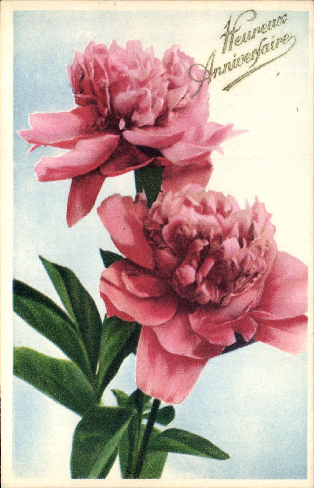 Flores de la fantasía de la POSTAL de la VENDIMIA