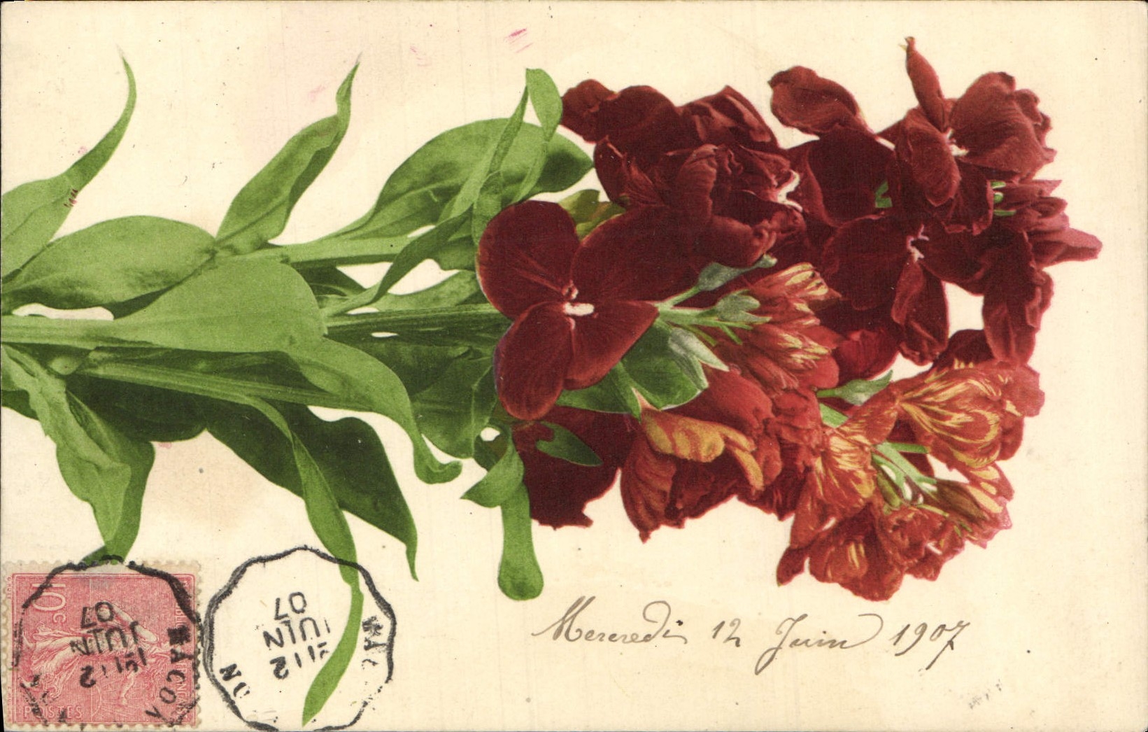 Flores de la fantasía de la POSTAL de la VENDIMIA