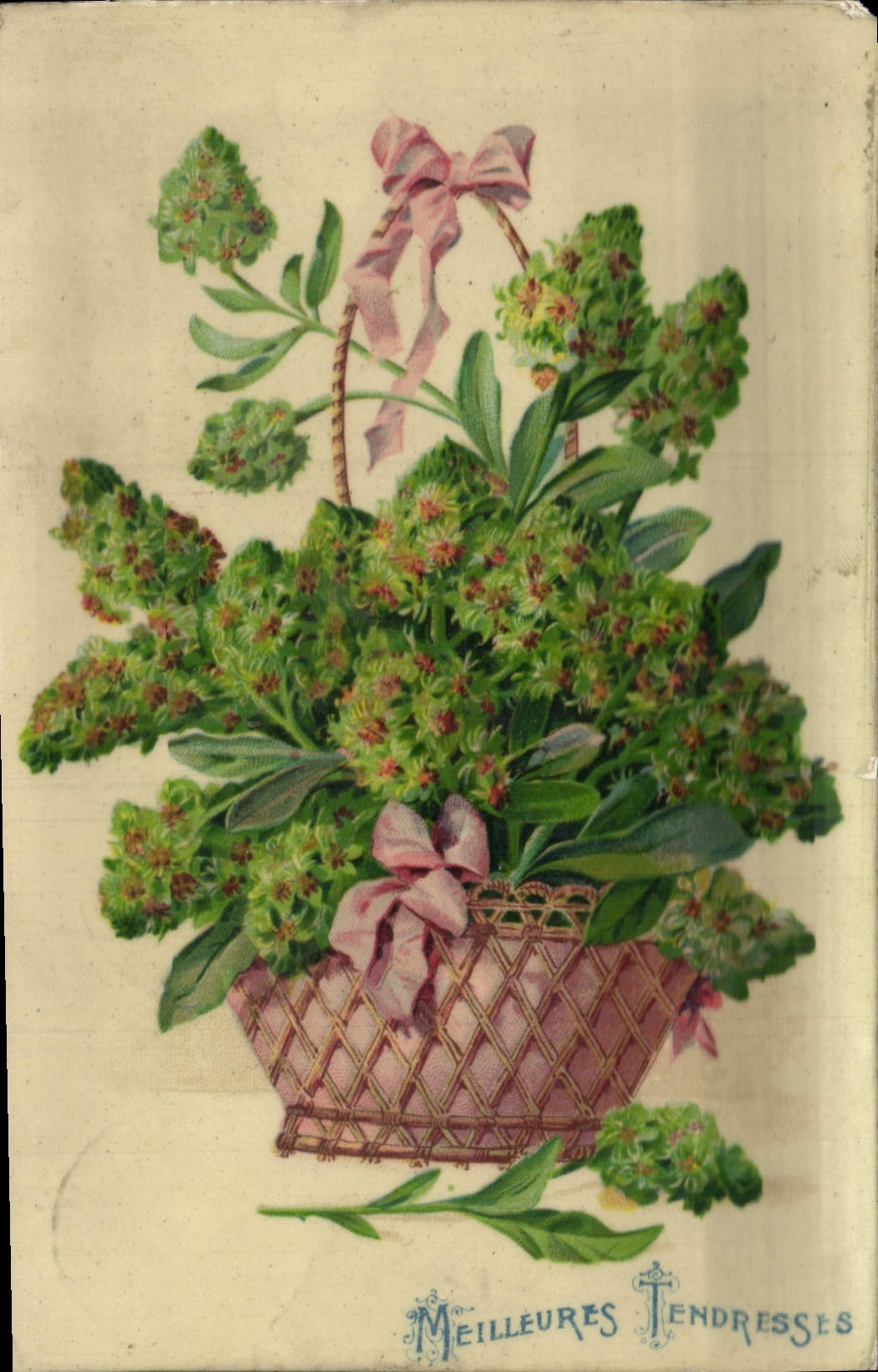 Flores de la fantasía de la POSTAL de la VENDIMIA