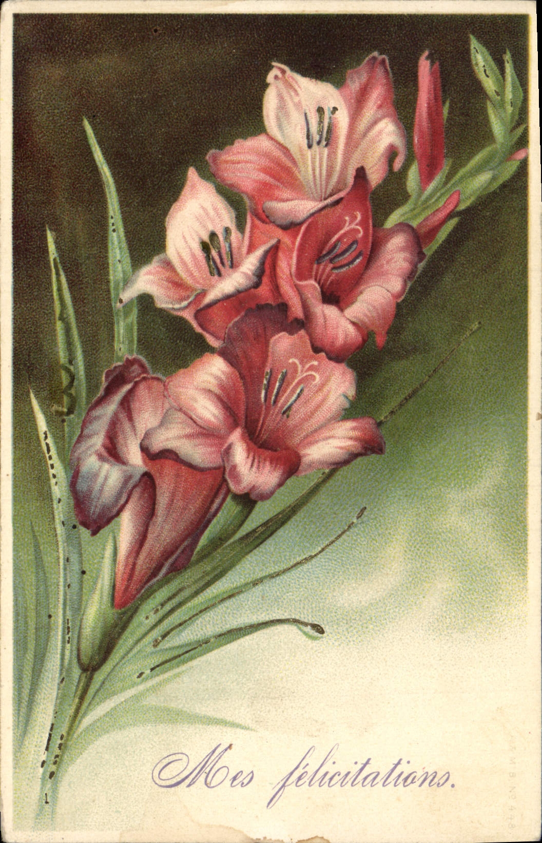 Flores de la fantasía de la POSTAL de la VENDIMIA