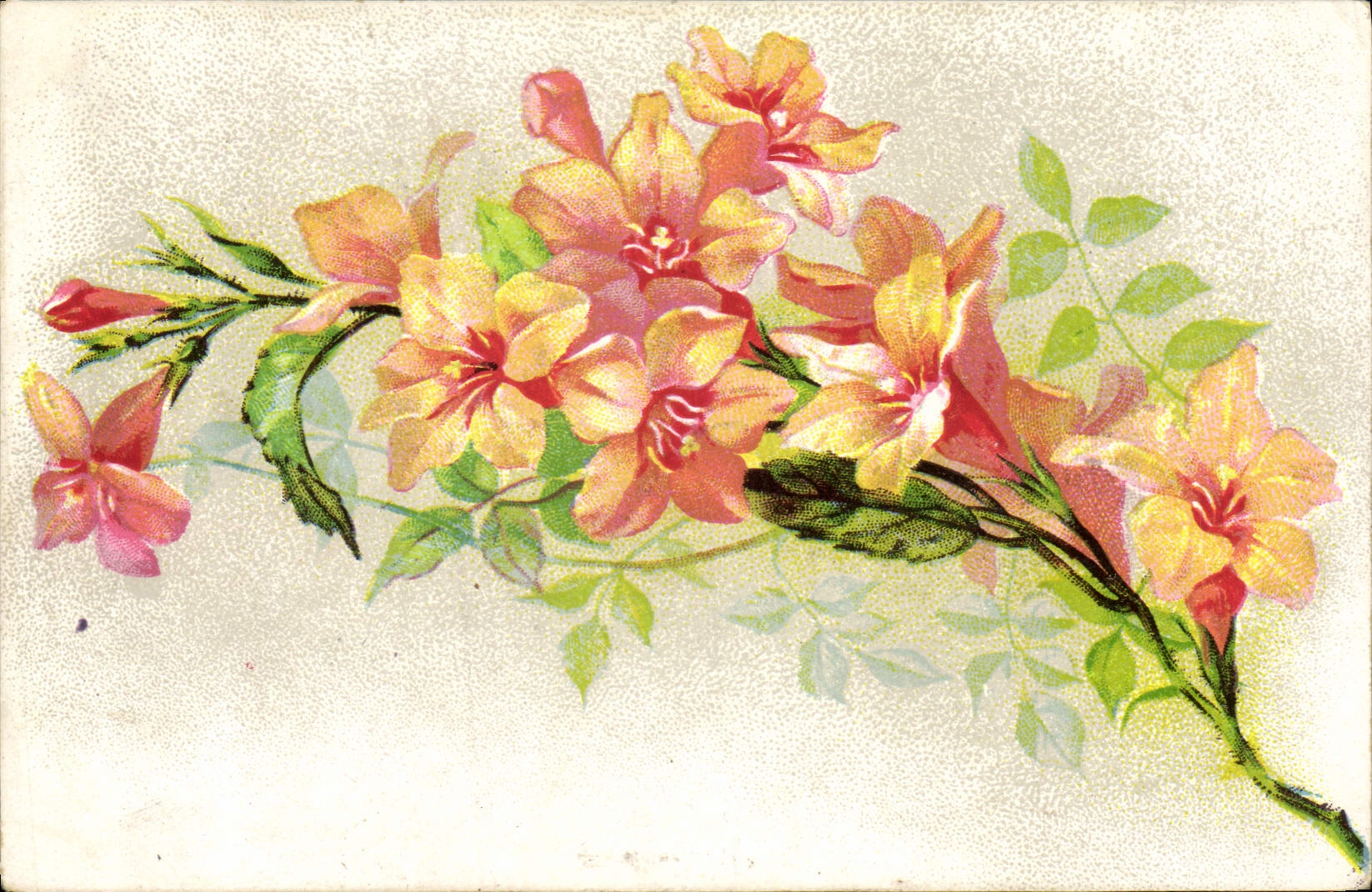 Flores de la fantasía de la POSTAL de la VENDIMIA